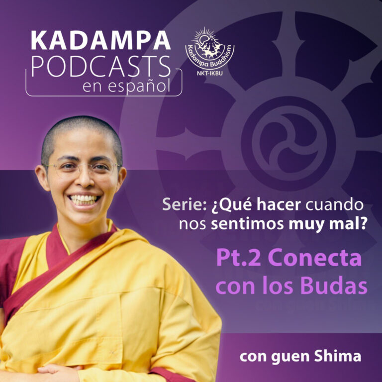 ¿Qué hacer cuando nos sentimos muy mal? PT. 2, Conecta con los Budas