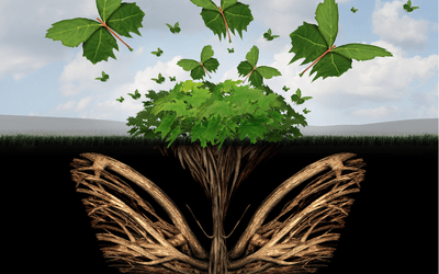 WEB-Elche-Comprendiendo nuestro pasado creando nuestro futuro-ABR26 (400 x 252 px)